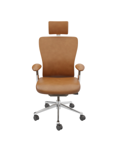 Advanced Ergonomic Chair