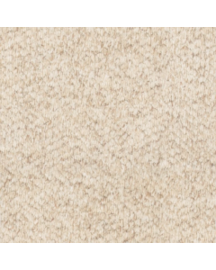 Oatmeal Loop Pile Carpet